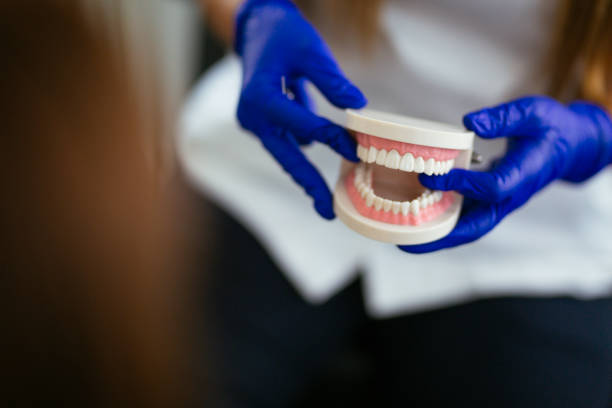 Best Full Mouth Reconstruction  in Fitchburg, MA